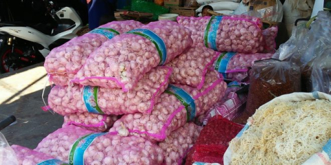 Kota Bengkulu