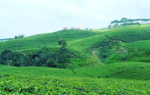 Kepahiang