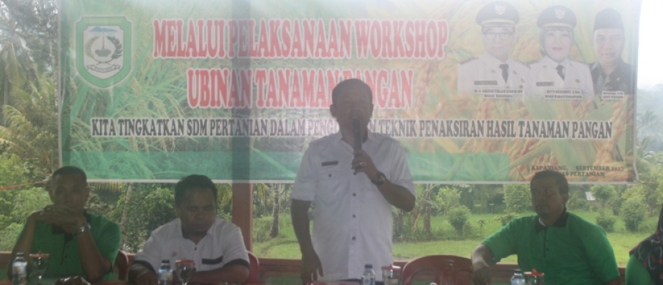 Kabid Program dan SDM Pertanian Swifanedi Yusda S.Hut saat menjelaskan metode Ubinan tanaman pangan