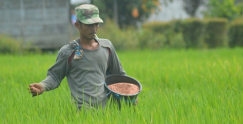 Desa Rimbo Recap Raih Penghargaan BUMDes Terbaik Tingkat Provinsi Bengkulu