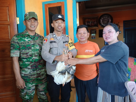 Dukung Program Ketahanan Pangan, Babinkamtibmas Polsek Batiknau  Bersinergi Dengan Babinsa Koramil Lais