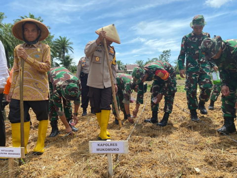 Dukung Ketahanan Pangan Polres Mukomuko Tanam Bibit Jagung 