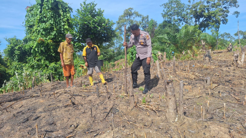 Polsek Kedurang Ilir Tanam Jagung di Lahan 1 Hektar untuk Tingkatkan Ketahanan Pangan