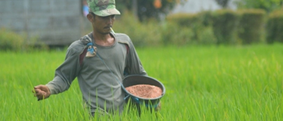 Desa Rimbo Recap Raih Penghargaan BUMDes Terbaik Tingkat Provinsi Bengkulu
