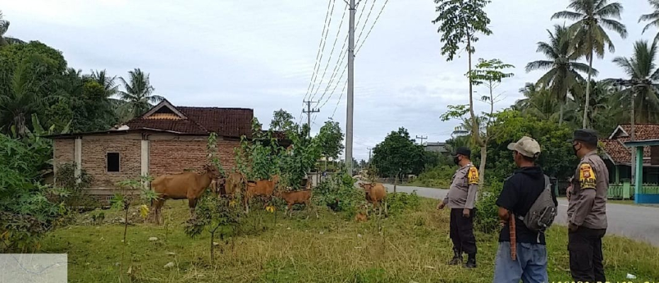 Daerah