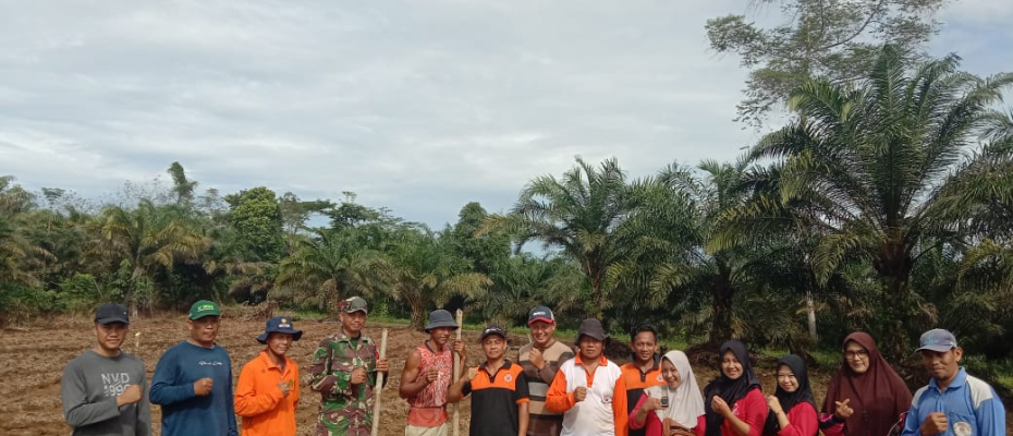 Wujudkan Ketahanan Pangan Pemdes Tambak Rejo Fokus Tanam Jagung