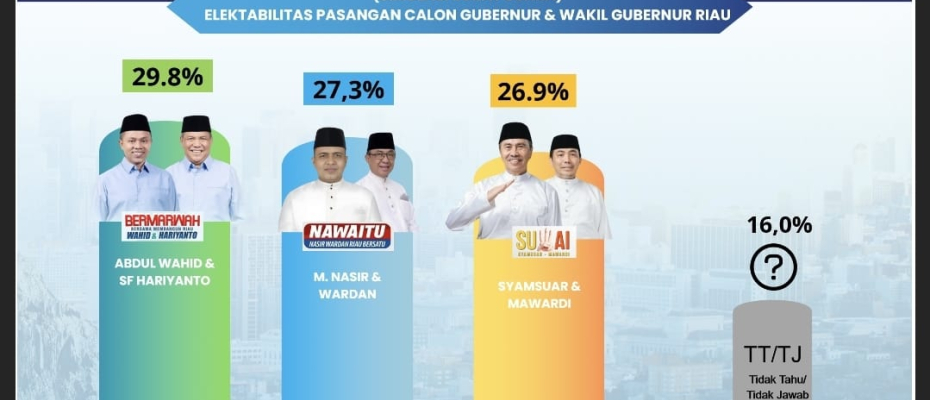 Elektabilitas Cagub Riau M Nasir Melejit, Saingi Dua Kandidat Lain