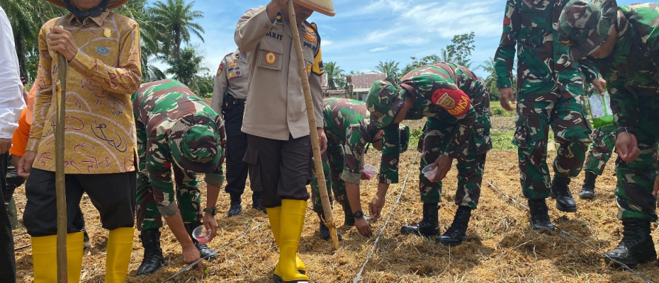 Dukung Ketahanan Pangan Polres Mukomuko Tanam Bibit Jagung 
