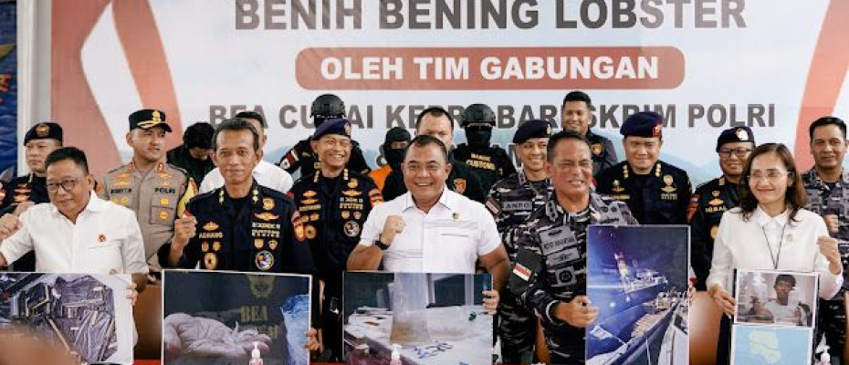 Gagalkan Penyelundupan 151 Ribu Benih Lobster di Perairan Bintan