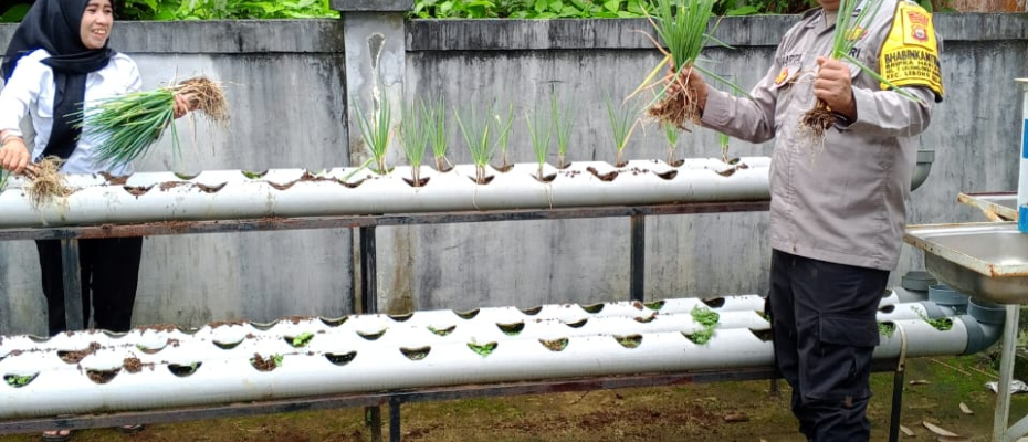 Sambang, Bhabinkamtibmas Polsek Lebong Selatan Ajak Warga Tingkatkan Penanaman Sayur dalam Rangka Ketahanan Pangan