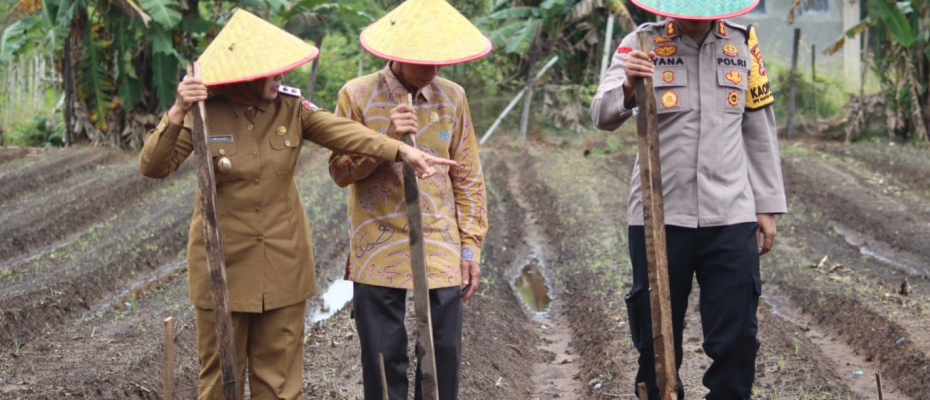 Dukung Ketahanan Pangan, Polres Mukomuko Siapkan 212 Hektare Lahan untuk Ditanami Jagung