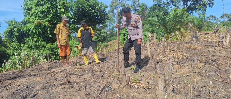 Polsek Kedurang Ilir Tanam Jagung di Lahan 1 Hektar untuk Tingkatkan Ketahanan Pangan
