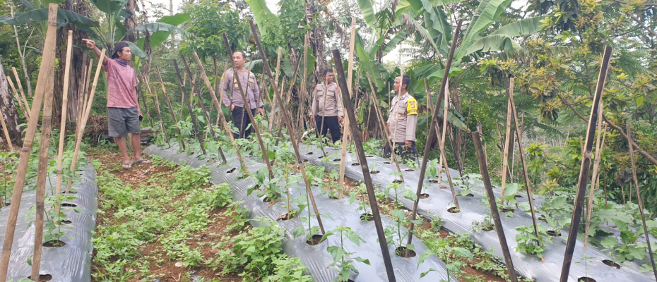 Kapolsek Lebong Selatan Pantau Persiapan Launching Penguatan Program Pekarangan Pangan Lestari